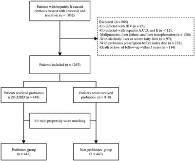 Association between probiotic therapy and the risk of hepatocellular carcinoma in patients with hepatitis B-related cirrhosis